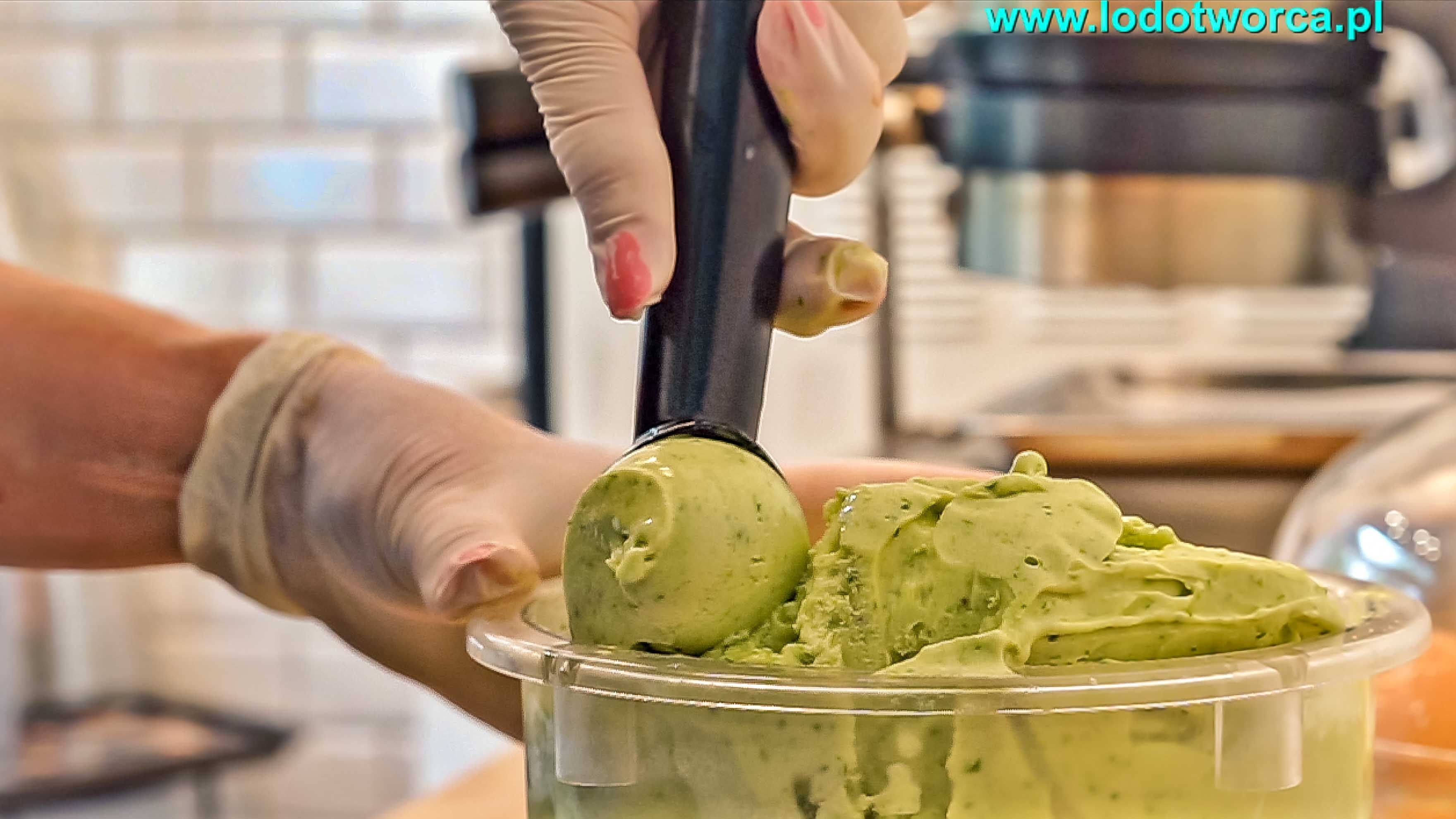 Lody Rzeszów - gelato ice cream kawiarnia shake milkshake mrożonyjogurt lód włoski sorbet kawa cafe rurki z kremem deser lodowy bita śmietana soki frappe posypki polewy.jpg