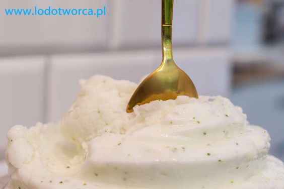 Świetne lody Rzeszów