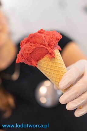 Porywające lody Rzeszów