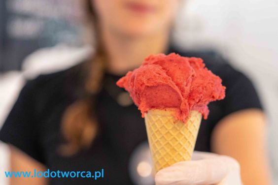 Lody Porywające w lodziarni w Rzeszowie