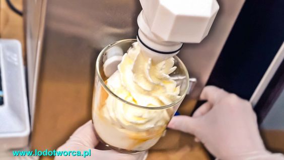 Lody Rzeszów najsmakowitsza lodziarnia