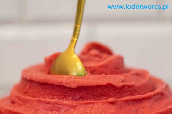 Lody Rzeszów najodpowiedniejsza lodziarnia