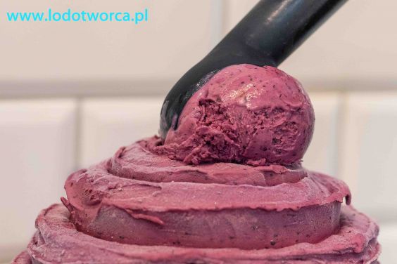 Lody Rzeszów najatrakcyjniejsza lodziarnia
