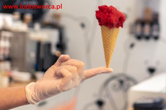 Lody Rzeszów najniezwyklejsza lodziarnia