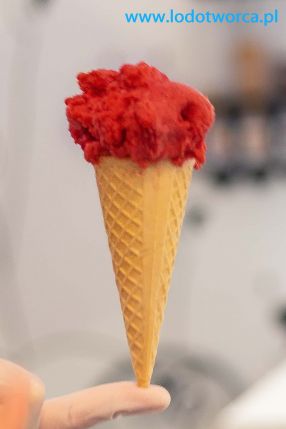 Lody Rzeszów najowocniejsza lodziarnia