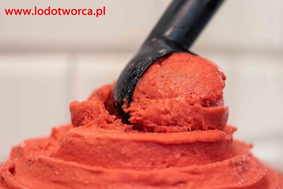 Lody Rzeszów najodpowiedniejsza lodziarnia