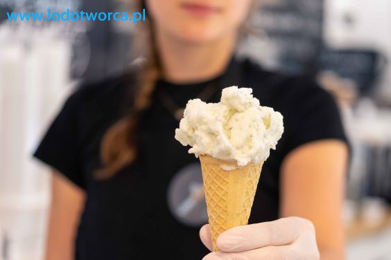 Lody Rzeszów najzacniejsza lodziarnia